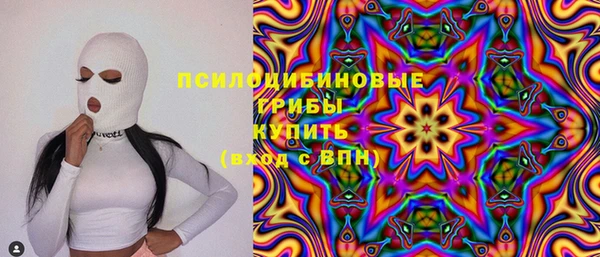 спайс Вяземский