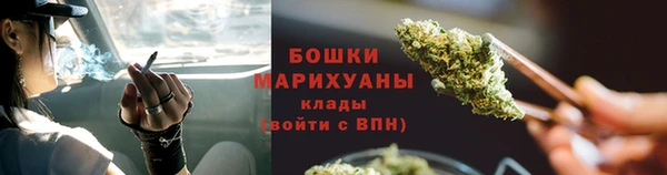 спайс Вяземский
