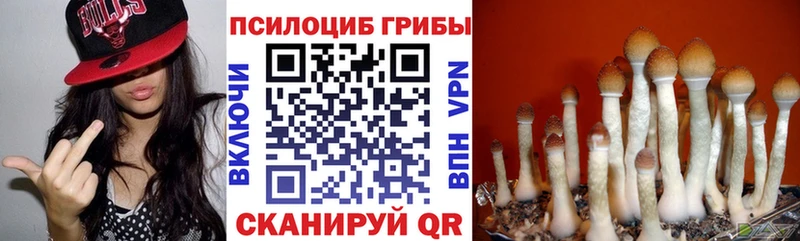 Псилоцибиновые грибы Psilocybe  blacksprut ONION  Ачинск 